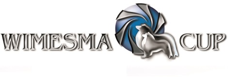 WiMeSma Logo